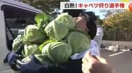最高記録は32個！2分間で落とさずに何個のキャベツを持てるかな？　白熱！キャベツ狩り選手権　毎年恒例