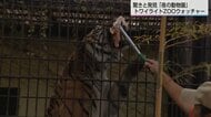 「いつも寝ているトラが元気」夜の動物園で子どもたちが大興奮　レッサーパンダのフンはどんな香り？飼育員と巡る夜の探検