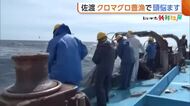 “クロマグロ”豊漁に悲鳴！？放流続きとうとう“網”撤去「見ないほうが気休まる」　漁業関係者から漁獲枠の見直し求める声　新潟・佐渡市