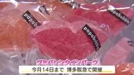 食感楽しい「グミ」がバレンタインデーの新定番に　「ご当地グミ」など100種類以上ズラリ　チョコ高騰も影響し人気広がる　福岡