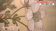 「幻の教材」新発見　牧野富太郎博士が描いた明治時代の掛図、高知県立牧野植物園で初展示
