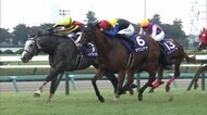 【競馬・スプリンターズS】待ちに待った秋GⅠが開幕！ まばたき厳禁のスピード決着！ “秋のスプリント王”に輝くのは？