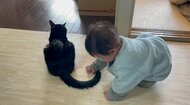 「触れそうで触れない…」どうしてもしっぽに触れたい赤ちゃんとおばあちゃん猫の“子守り”にほっこり