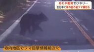 あわや衝突…目の前をクマが横切る瞬間がドラレコに　近くには高校もあり警察が注意呼びかけ　秋田市