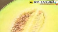 「みずみずしくて甘い」石川アールスメロンが初出荷　今年は1週間早く金沢の畑から430玉が店頭へ