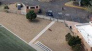 小学校や住宅街に熊出没　一時“屋内退避命令”にドローン捜索も　麻酔銃撃たれ捕獲　目撃“増”は干ばつと山火事が影響か　アメリカ