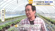 ナフサ高騰でイチゴ農家に危機感　「資材なければ休業」【佐賀県】