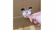 箱の穴からおやつを味わう猫が可愛い! 箱に絵を描いた“コスプレ”姿も見せてもらった