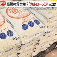 価格高騰の救世主か…“カルローズ米”の人気拡大　国産米より2割安　「予想外のおいしさ」カレー・リゾットに最適…おにぎりには不向きか