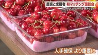 働き手がほしいサクランボ農家と働きたい人をマッチング　瞬間的に人手が必要なサクランボの収穫・人手不足解消へ【山形発】