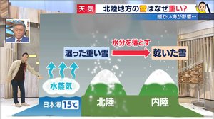 今だけ絶景コラボも…伝統の冬支度「雪吊り」兼六園で始まる カギは“雪の重さ”違い!?