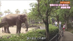 5月25日の「エールみやざき」
