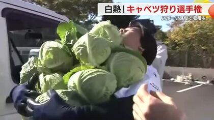 最高記録は32個！2分間で落とさずに何個のキャベツを持てるかな？　白熱！キャベツ狩り選手権　毎年恒例