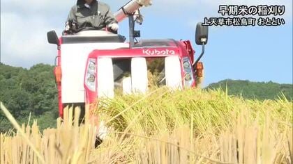 上天草市で早くも稲刈り【熊本】