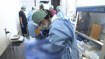 【解説】急増する動物虐待事件　“解剖”で捜査支える「法獣医学」の専門家たち　現場は“自転車操業”…担い手不足が浮き彫りに【2024年重大ニュース】