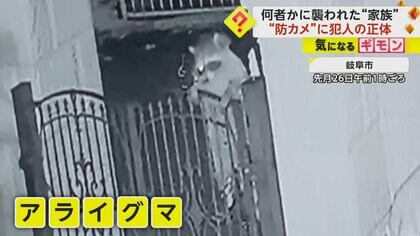 【犯人はアライグマ】水槽内で襲撃されたカメ…甲羅に隠れ耐えるも後ろ足かまれる　カメラに”犯行”の一部始終　岐阜市