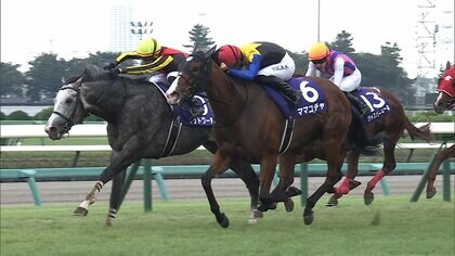 【競馬・スプリンターズS】待ちに待った秋GⅠが開幕！ まばたき厳禁のスピード決着！ “秋のスプリント王”に輝くのは？