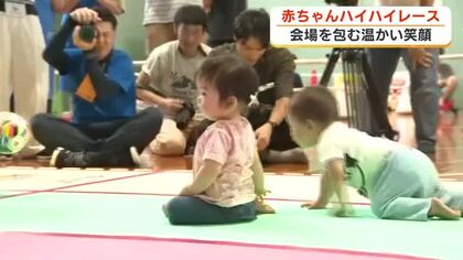 お母さんやお父さんが待つゴール目指して赤ちゃんハイハイレース開催　止まったり休んだり進路を変えたり…温かい笑顔あふれる会場