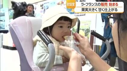 山形が生産量日本一「ラ・フランス」過去最も早い販売開始基準日　スーパーで宣伝活動　山形