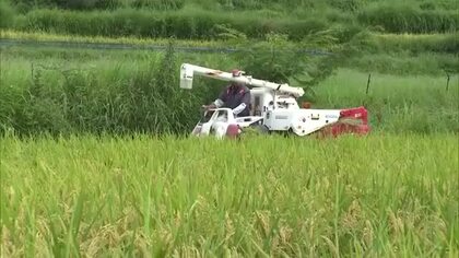 「日本の棚田百選」にも選定…美咲町の大垪和地区で稲刈り始まる　約２０軒がコメ作りを守る【岡山】