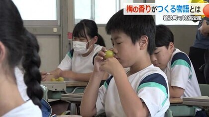 梅の香りから“物語”をつくる　福井梅の産地で特別授業　若狭町の条例「梅育」の一環で実施