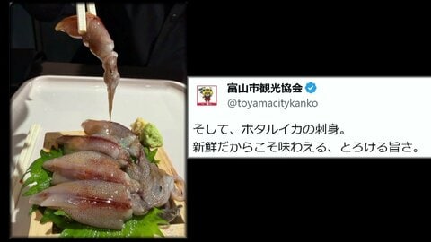 「寄生虫は大丈夫？」富山市観光協会の“ホタルイカの刺身”投稿に誤解招くと指摘相次ぐ　生食には冷凍処理必要