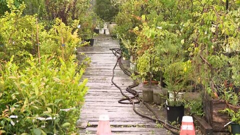 「顔ひっかかれ」クマに襲われ60代男性従業員がケガ　園芸店の敷地に侵入　クマは近くのやぶへ逃げ込む　仙台市