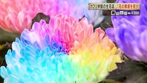 鹿児島は全国有数の花の産地！でも減少する消費額　魅力広げようと農家や生花店が奮闘中