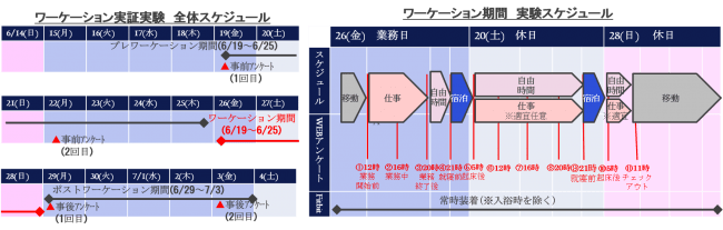 図1　実験のスケジュール