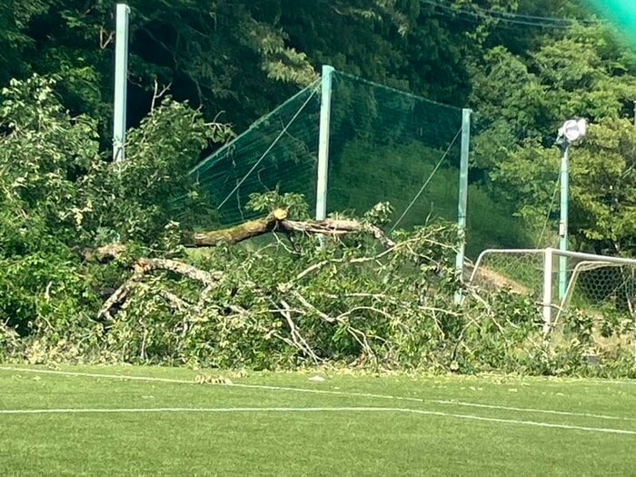 倒木があったグラウンド　静岡・御殿場市　午後3時半すぎ