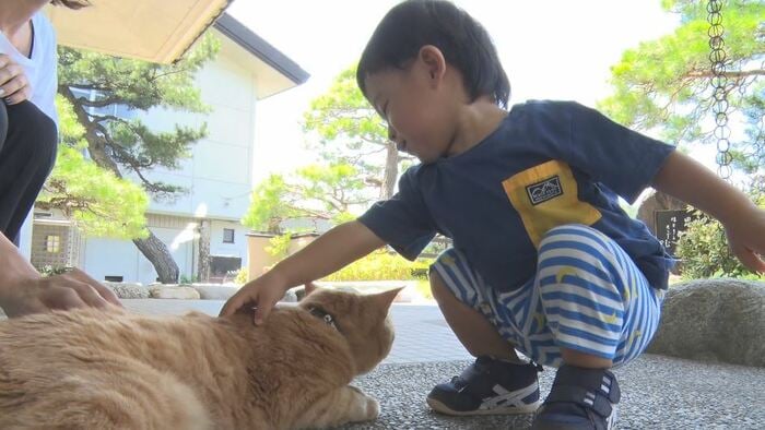 多くの人を癒やすムクニャン