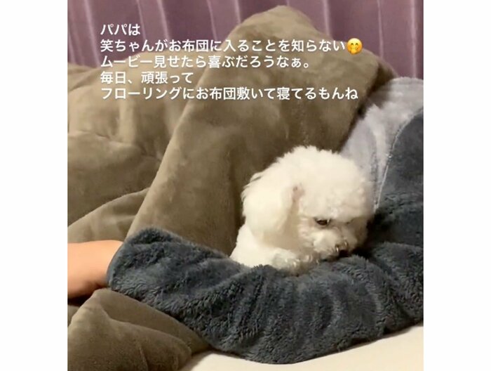 提供:@tanaka.akemi1225