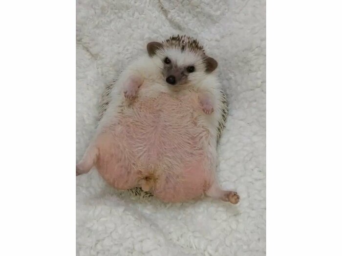 目覚めたちろるちゃんはこの表情