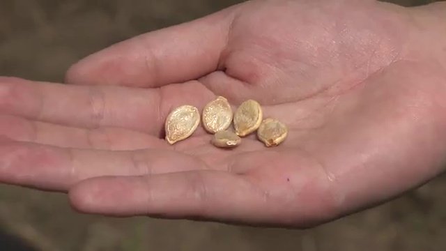 原発事故による避難で途絶えそうになる