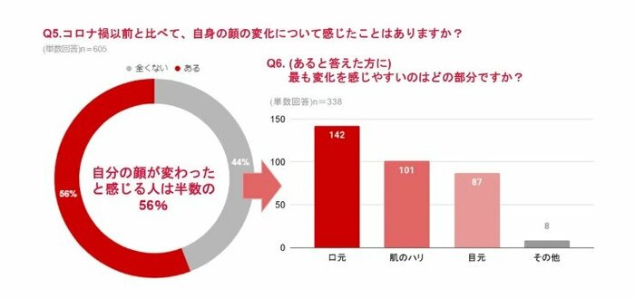 伊勢半調べ(画像提供:伊勢半)