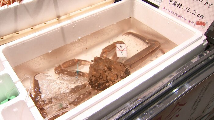 解禁されたズワイガニを求め客が訪れる