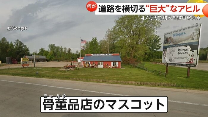 骨董品店のマスコットだったアヒル(スペクター・コミュニケーションズ)