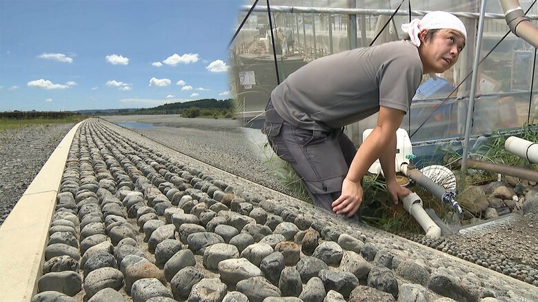 リニア工事による減水が心配な大井川　護岸工事で井戸が枯れイチゴの苗も全滅…住民が国に補償要求【静岡発】｜FNNプライムオンライン