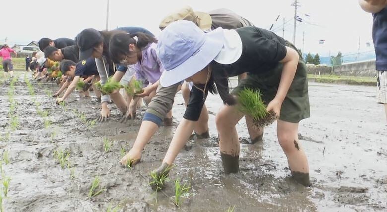 「土が冷たくて楽しい」　親子田植え体験で裸足で田んぼに　コシヒカリを丁寧に植える　秋には稲刈りも｜FNNプライムオンライン