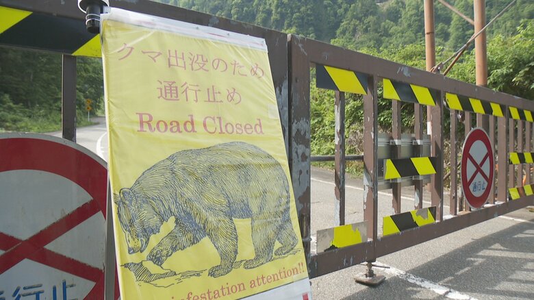 称名滝のクマ被害で閉鎖の「称名道路」、20日から桂台ゲートを開放へ　「クマソニック」導入も検討　富山・立山町｜FNNプライムオンライン