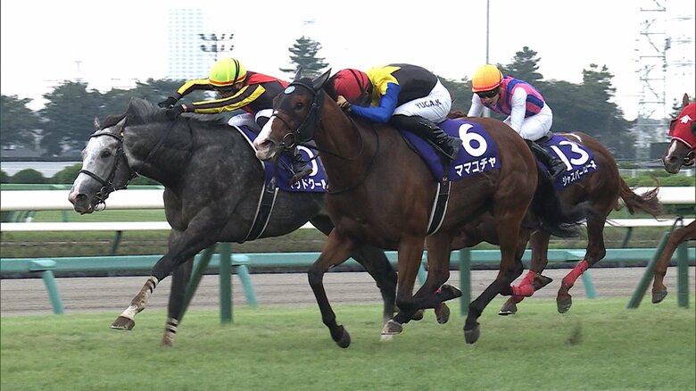 【競馬・スプリンターズS】待ちに待った秋GⅠが開幕！ まばたき厳禁のスピード決着！ “秋のスプリント王”に輝くのは？｜FNNプライムオンライン