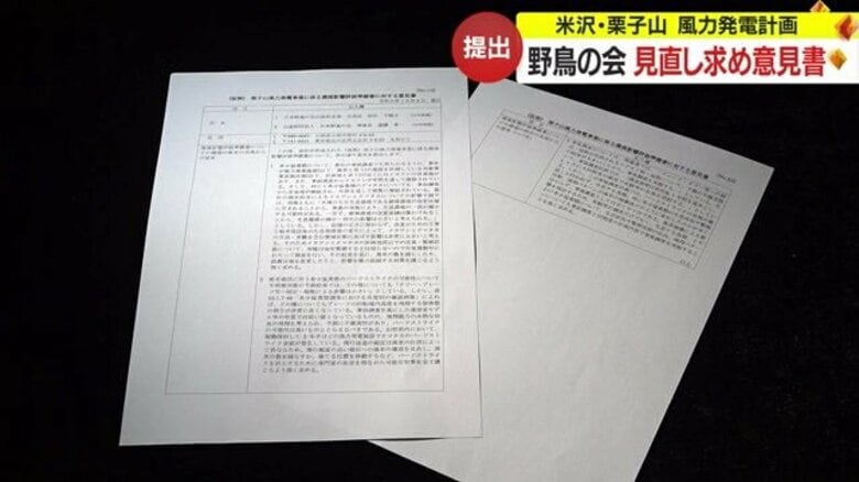 ＜続報＞「イヌワシの繁殖に影響大」野鳥の会が事業者側の主張に反論　風力発電計画見直し求め意見書提出【山形発】｜FNNプライムオンライン