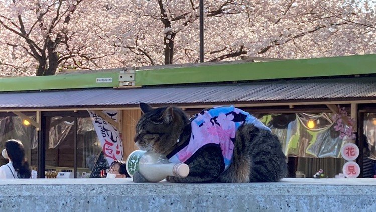 瓶の上に首を乗せて、ひと休み