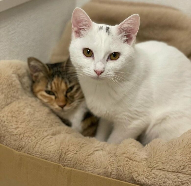 むぎちゃんは少し迷惑しているよう…