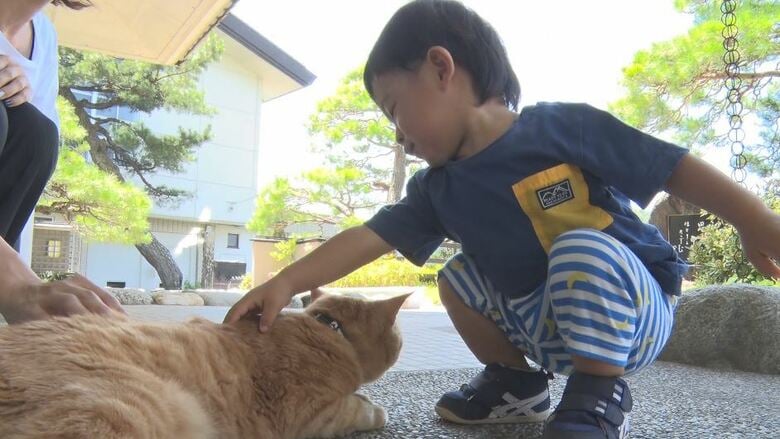 多くの人を癒やすムクニャン