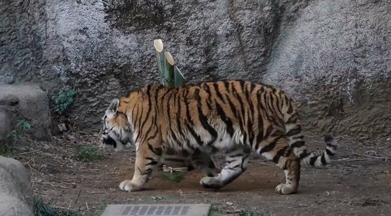 一度横を素通りして…