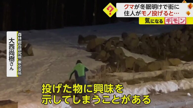 逃げていくクマとモノを投げる人の姿