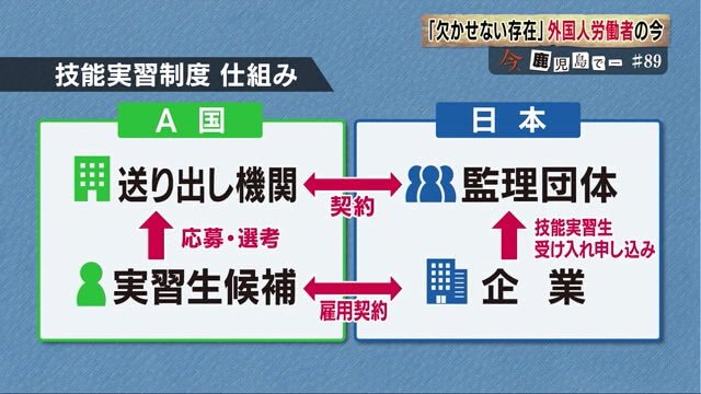 1993年から開始された技能実習制度の仕組み