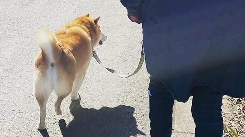 お母さんを伺っている？