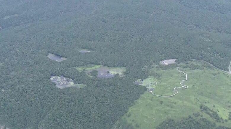 世界遺産・知床でも被害